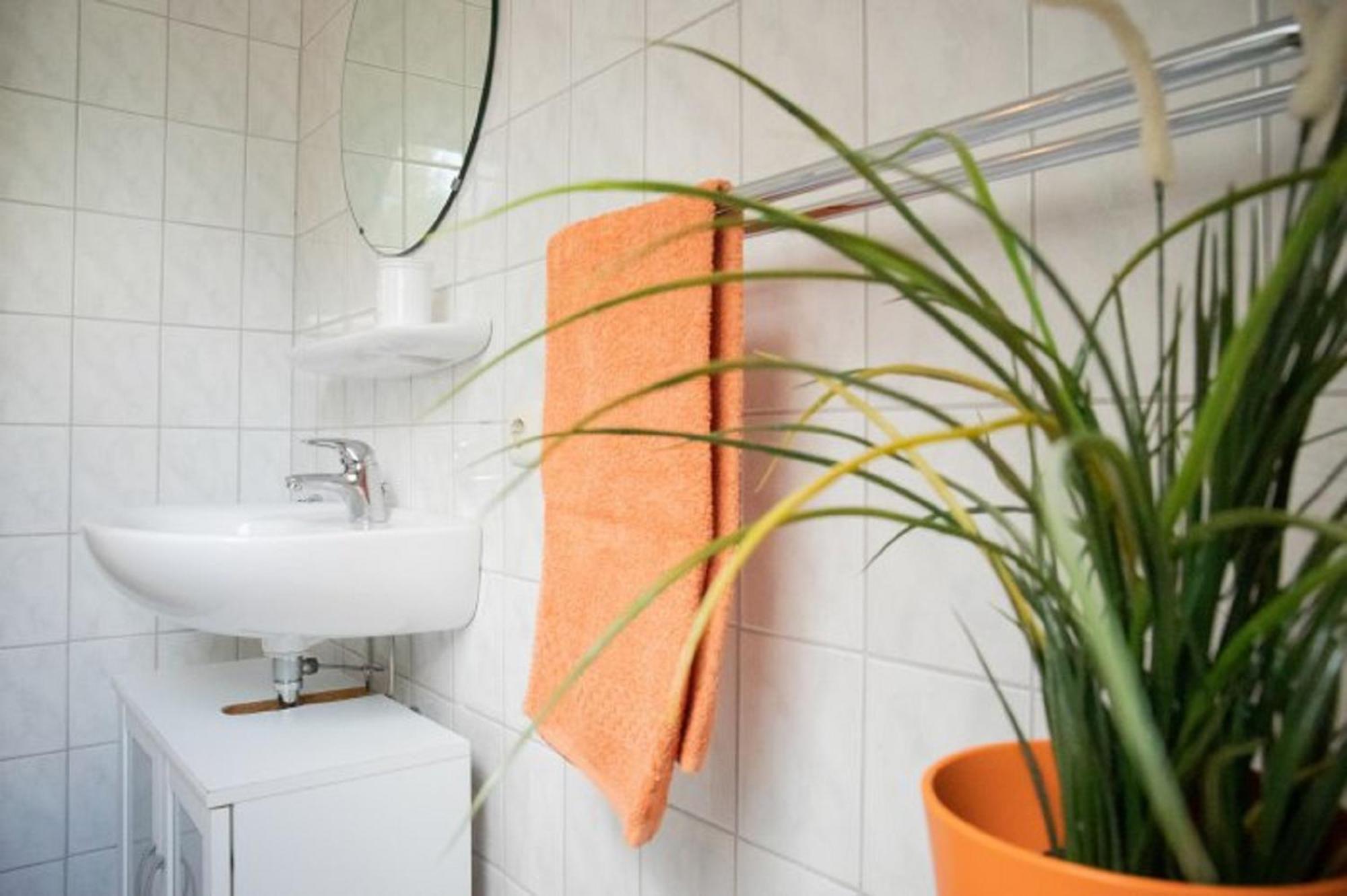 Apartamento Reiterhof Ekenhoff Moorweg Exterior foto
